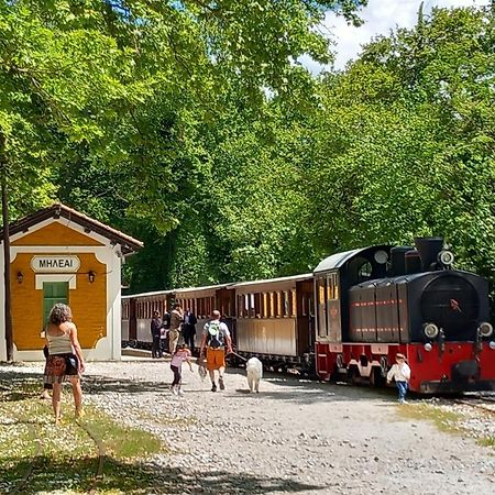Milies Historic Chalet Pelion Mileai Ngoại thất bức ảnh