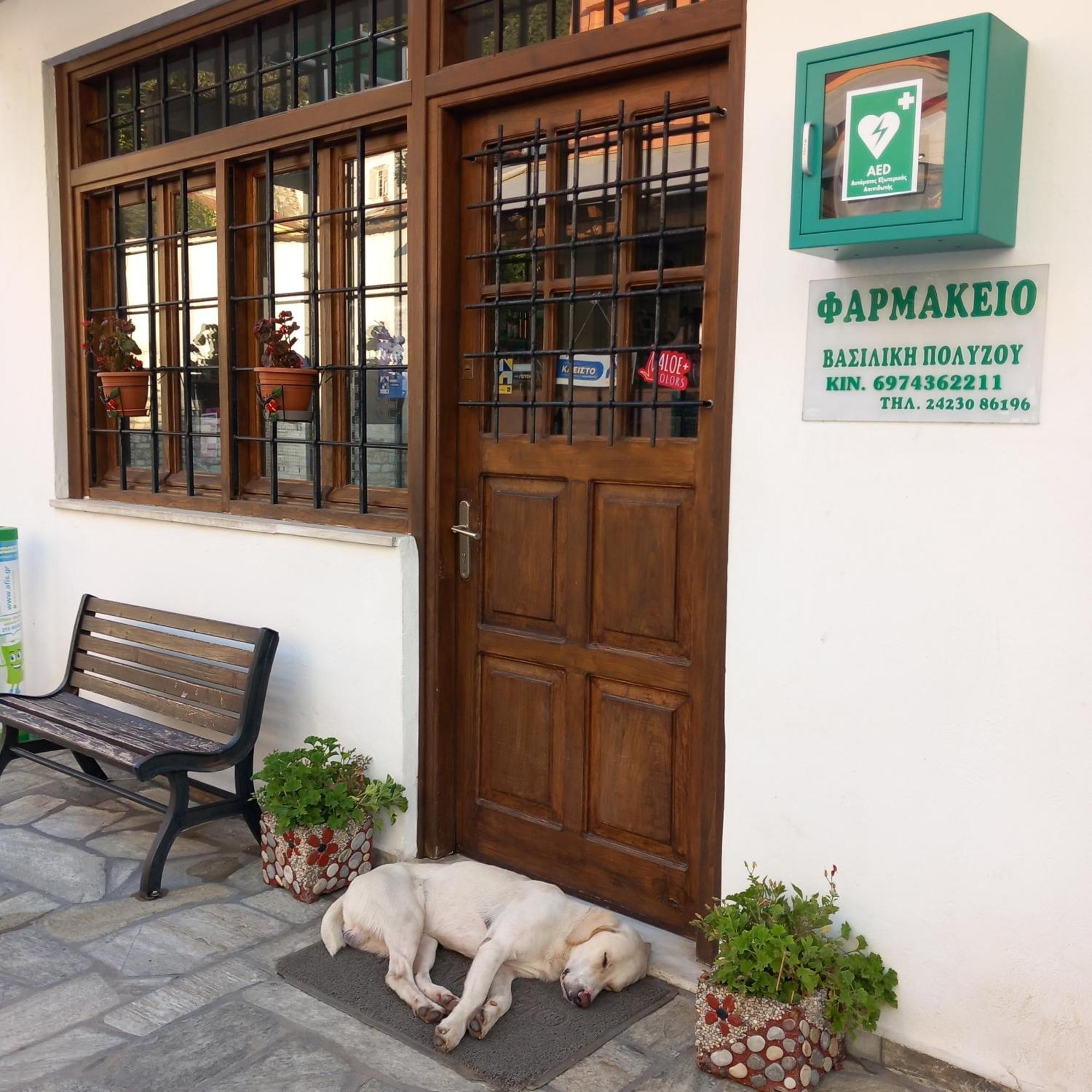 Milies Historic Chalet Pelion Mileai Ngoại thất bức ảnh