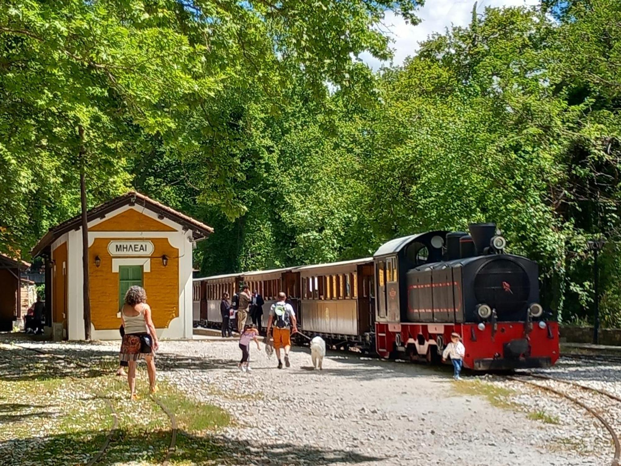 Milies Historic Chalet Pelion Mileai Ngoại thất bức ảnh